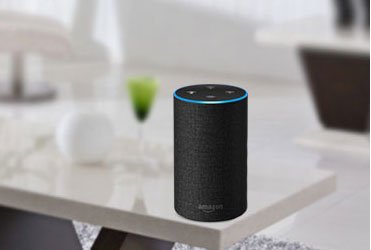 Echo Speaker